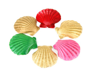 Colorful seashells, isolated on white