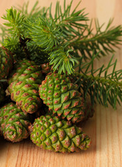 Green cones and fir tree on wooden background