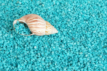 Shell on blue crystals of sea salt background