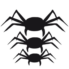 Spider Design