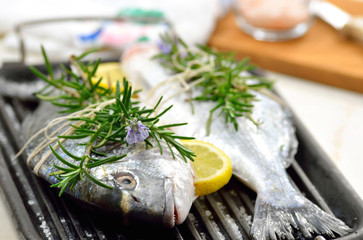 Two fresh gilt-head bream fishes