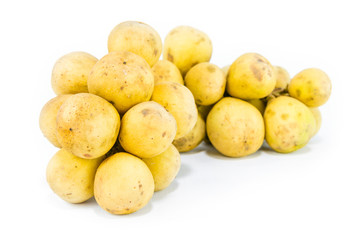 Wollongong isolated  , Lansium domesticum Corrêa