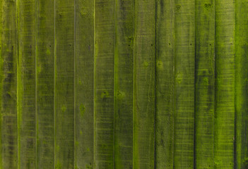 Wooden background with moss