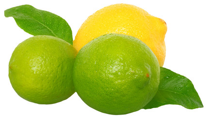 Heap fresh wet lime and lemon with leaves