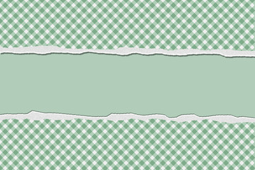 Green Gingham Torn Background for your message or invitation