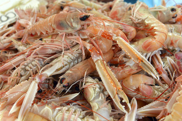 fresh scampi for sale at a market