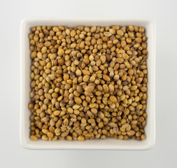 Coriander seeds in a square bowl isolated on white