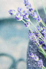 Lavender flowers in a mortar