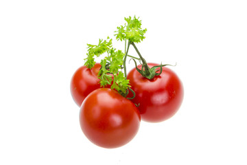 Tomato branch with parsley