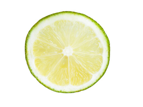 fresh lemon Slice
