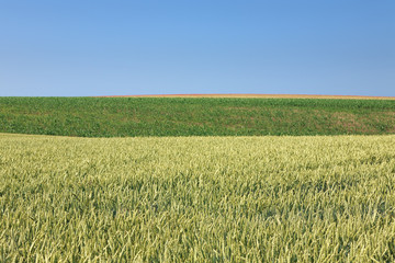 Rolling fields of agricultural land