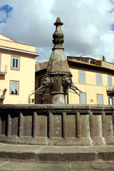 Fototapeta premium viterbo