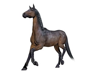 Brown horse - 3D render