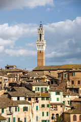 Obraz premium Siena bell tower