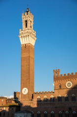 Fototapeta premium Siena bell tower