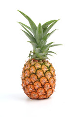 Pineapple in white background