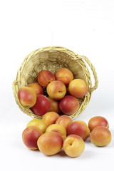 apricots in the basket on the White background