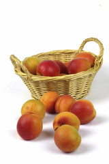 apricots in the basket on the White background