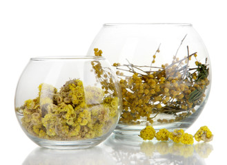 Dried herbs in glass containers isolated on white
