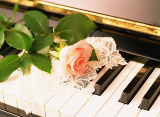 piano and rose