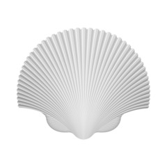Scallop Shell. Isolated On White. Vector Illustration