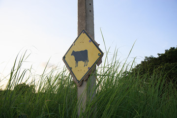 Cow sign