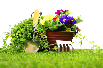 Gardening objects on a lawn and white background