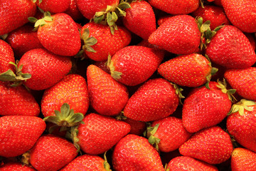 Strawberries on the market