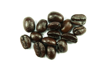 Arabica coffee beans for a coffee shop.
