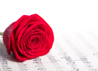 Red rose on a music sheet