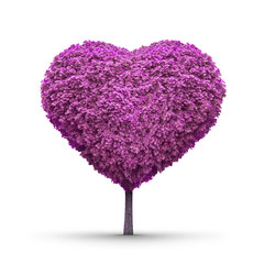 Heart-shaped purple tree isolated