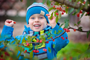 Cute kid picking up small wild red apples