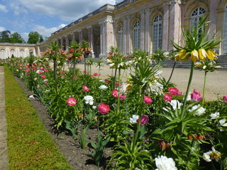 Fototapeta na wymiar Les Jardins du Grand Trianon