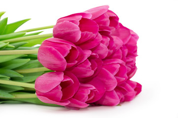 Fototapeta na wymiar tulips flowers