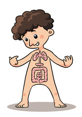 Child Body Organ. Body organ explaining of a child.