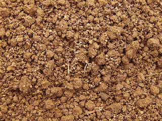 soil texture