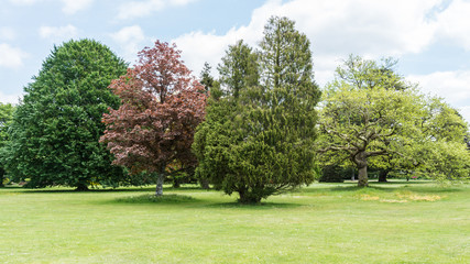 Panoramic Park