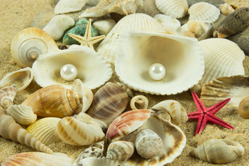 seashells,pearl, starfish on sand