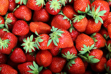 Fresh strawberry fruit as a backdrop.