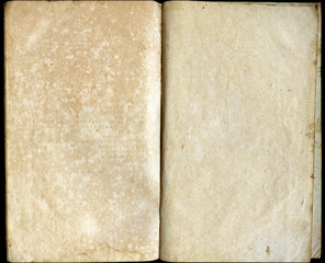 Pages of the ancient book
