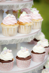 Cup cake on the cake stand