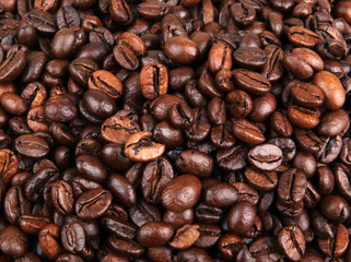 coffee beans