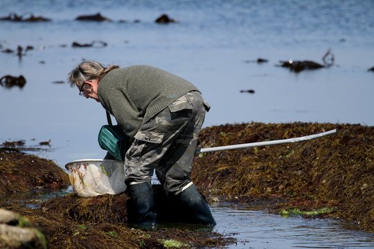 p&ecirc;che &agrave; pied en bretagne