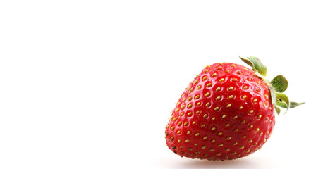strawberries on a white background
