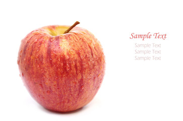 Close up red apple with water drops isolated on white
