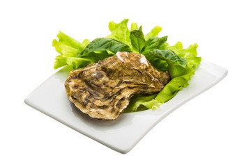 Fresh oyster