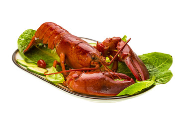 Large Lobster