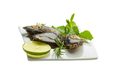 Wild mussel
