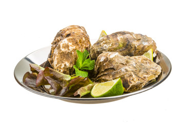 Fresh oyster
