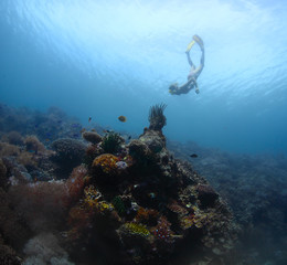 Fototapeta na wymiar Freediver